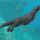 Artist’s interpretation of Peregocetus pacificus, a four-legged whale from the middle Eocene period.